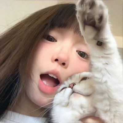 大脑中的猫